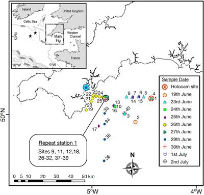 Total Water Column Analysis Shows the Importance of a Single Species in Subsurface Chlorophyll Maximum Thin Layers in Stratified Waters